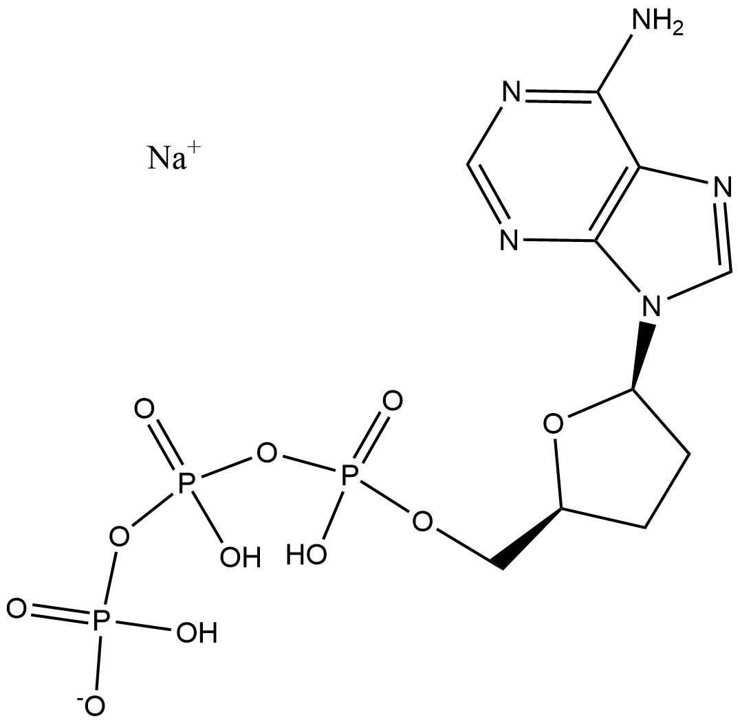 2'3 Deoxvadenosine-5triphosphate, sodium salt solution