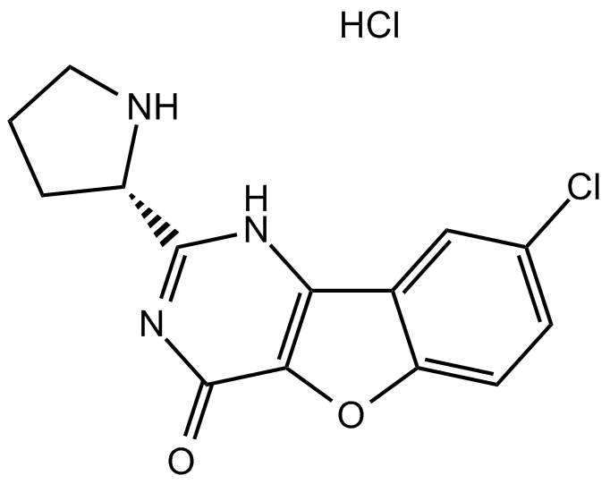 XL413 hydrochloride