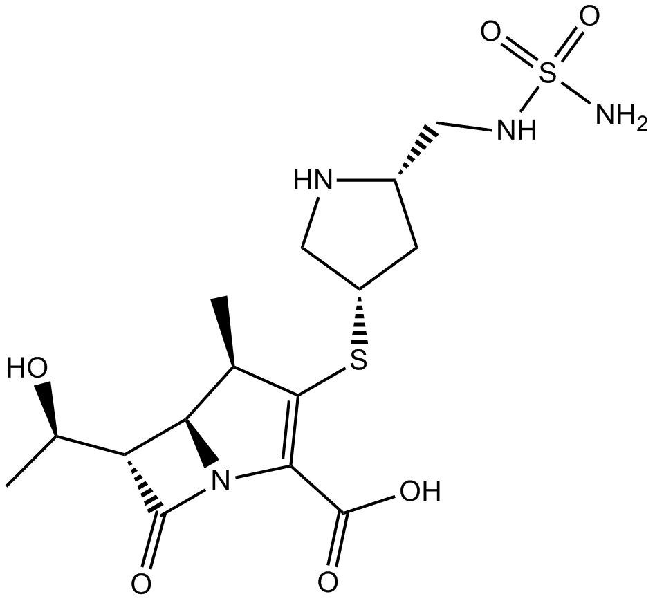 Doripenem