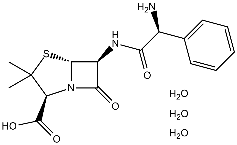 Ampicillin Trihydrate