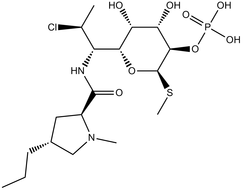 Clindamycin Phosphate