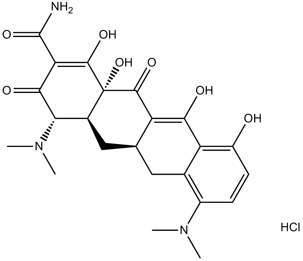 Minocycline HCl