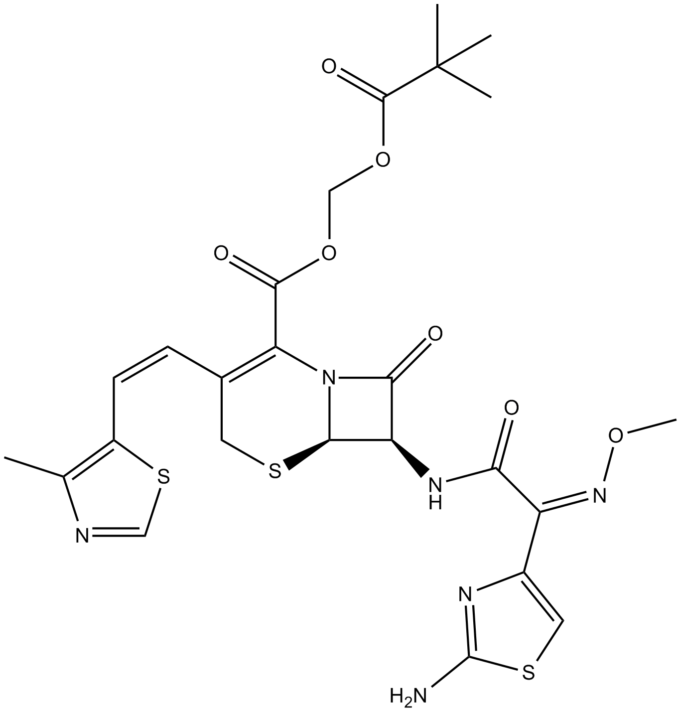 Cefditoren Pivoxil