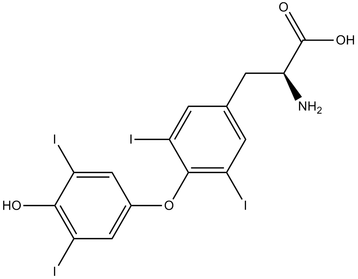 L-Thyroxine