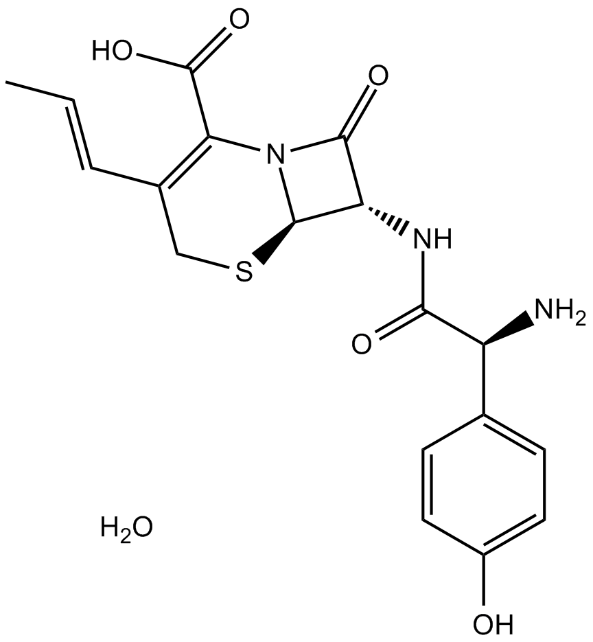 Cefprozil hydrate