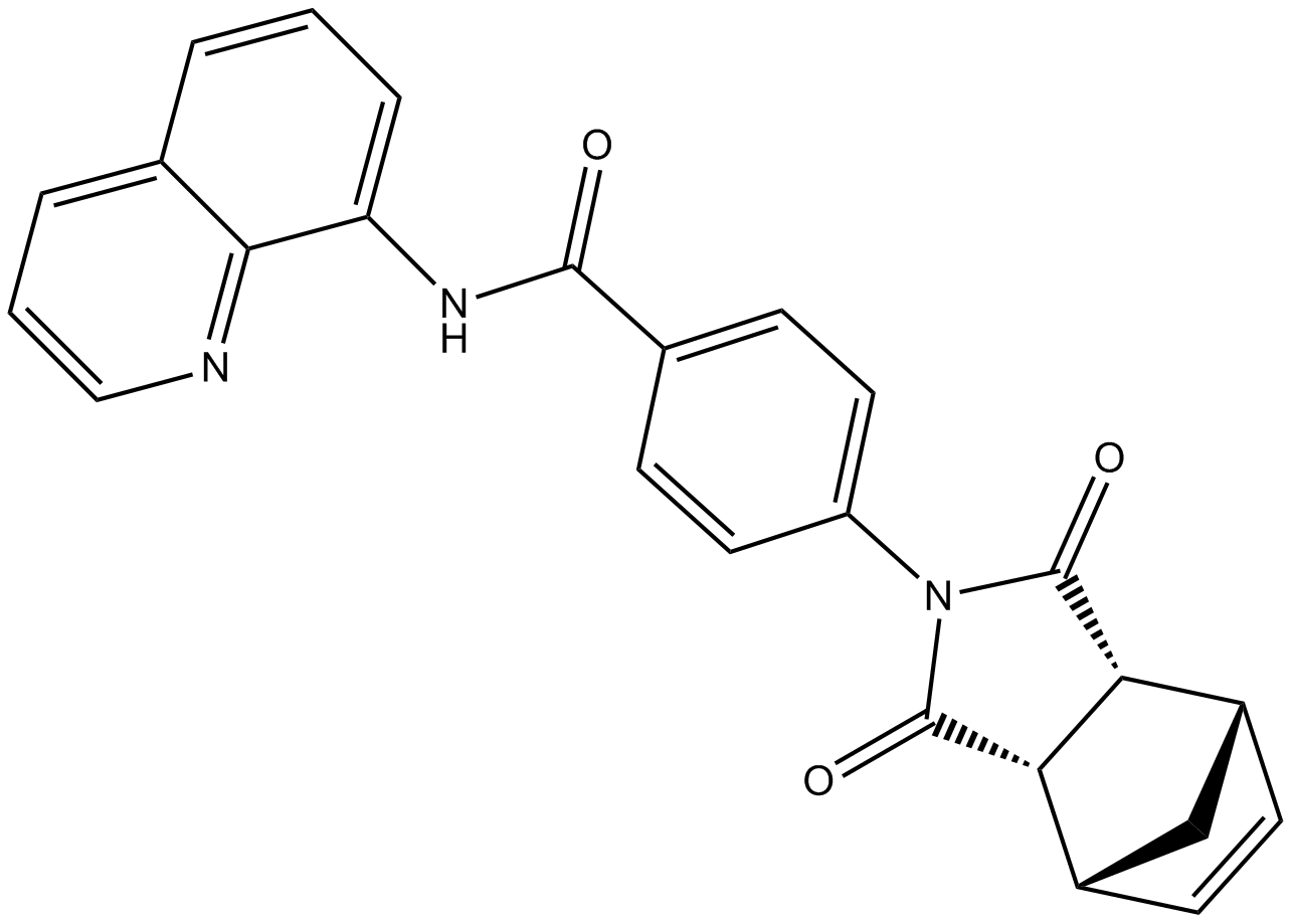 IWR-1-endo