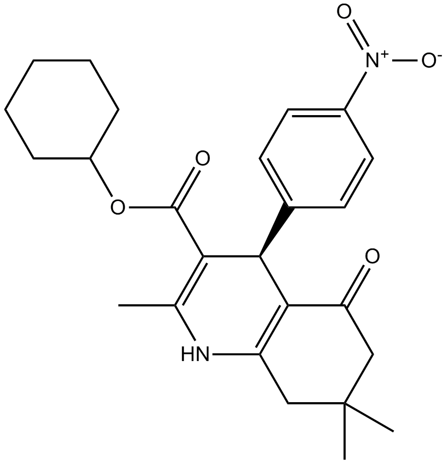 FLI-06