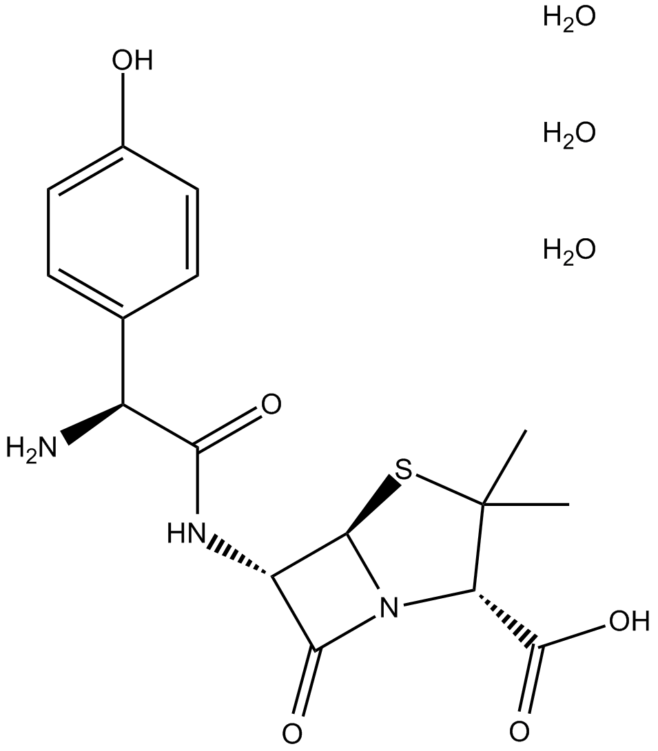 Amoxicillin trihydrate