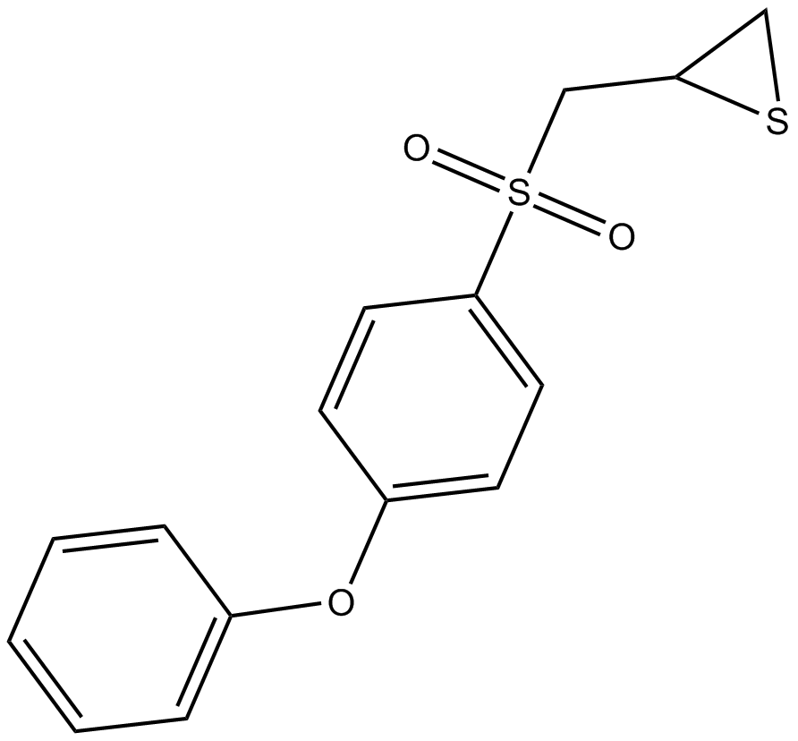 SB-3CT