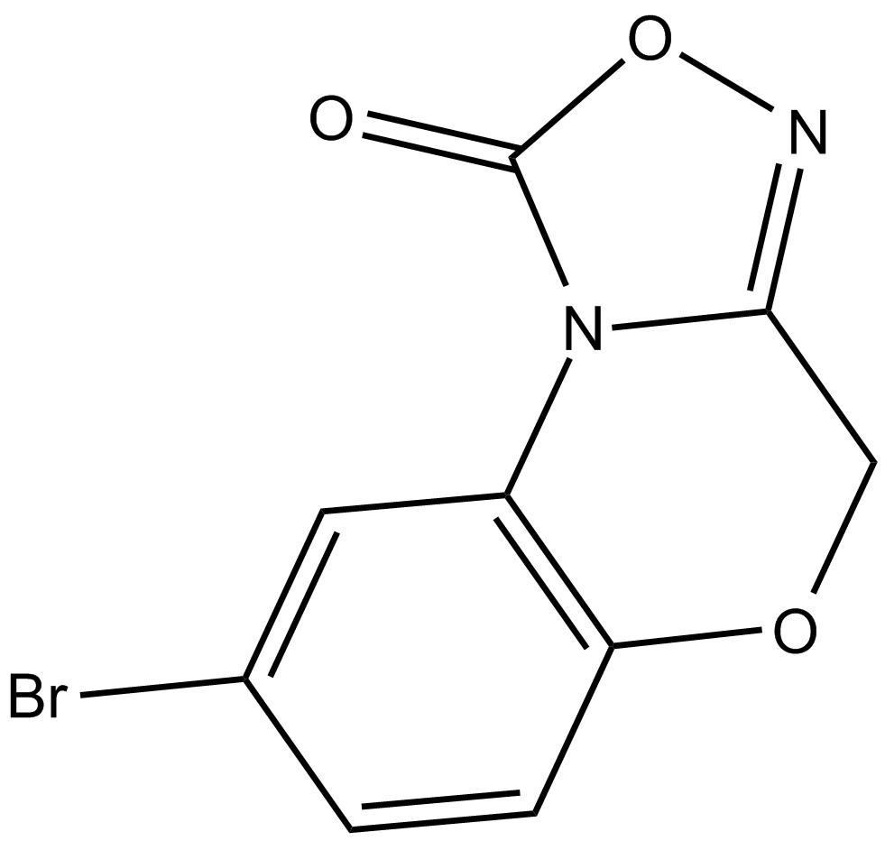 NS 2028