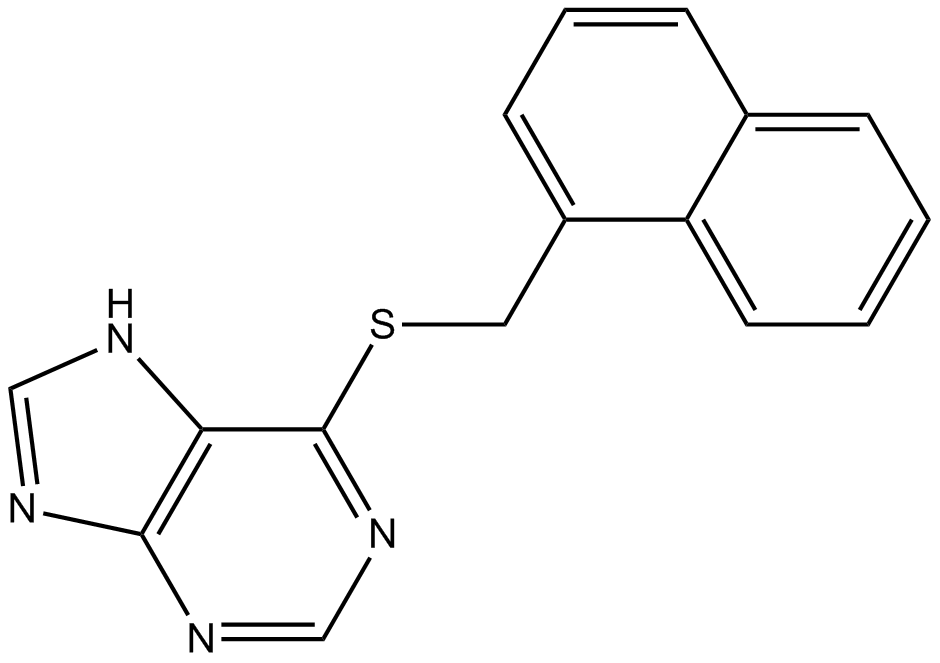 PU 02