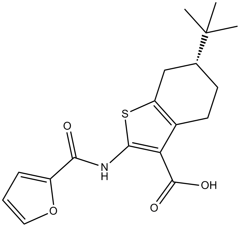 CaCCinh-A01