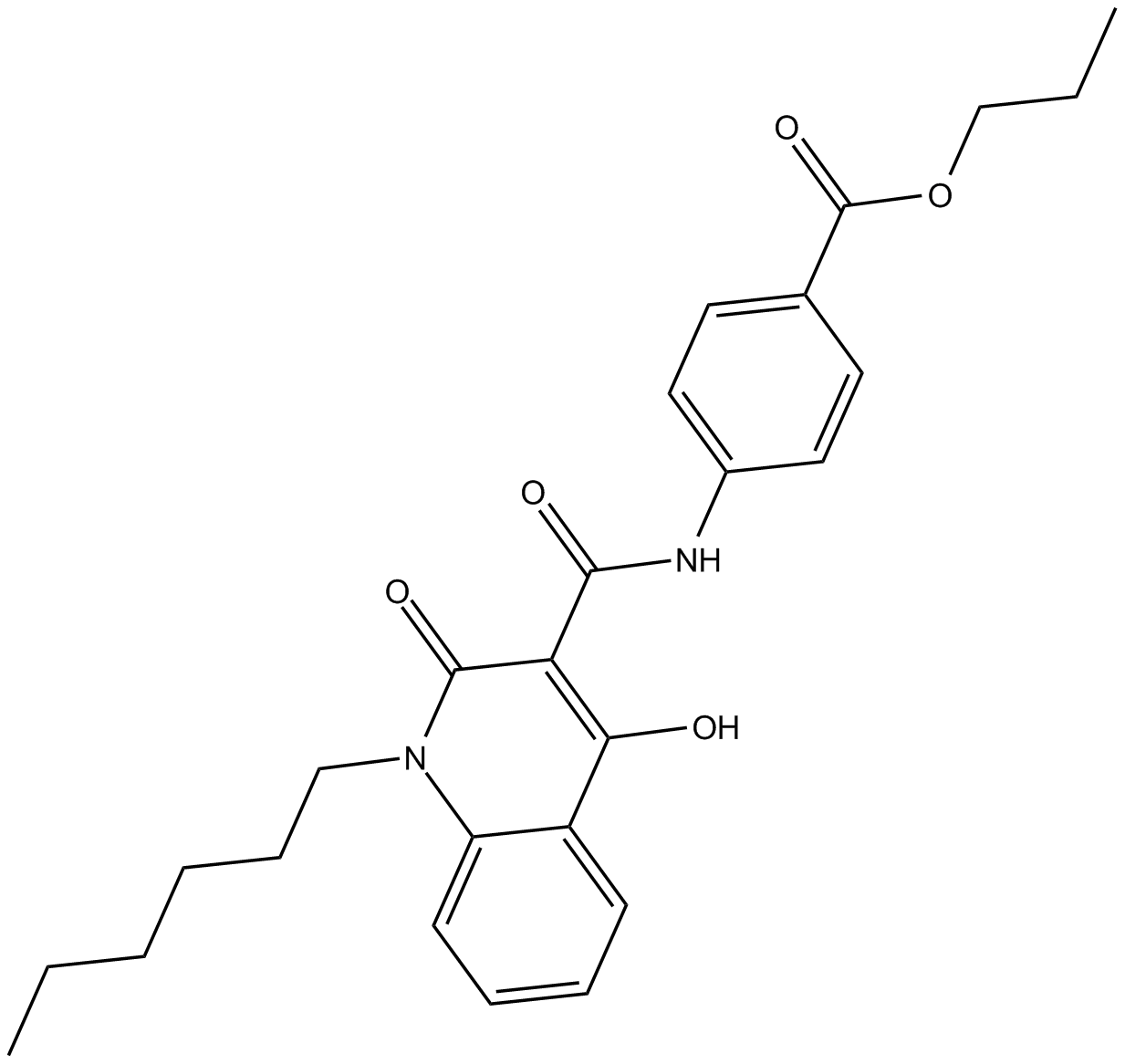 GSA 10