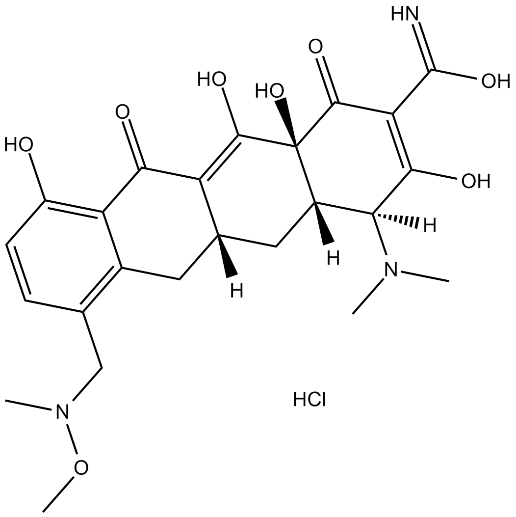 P005672 hydrochloride