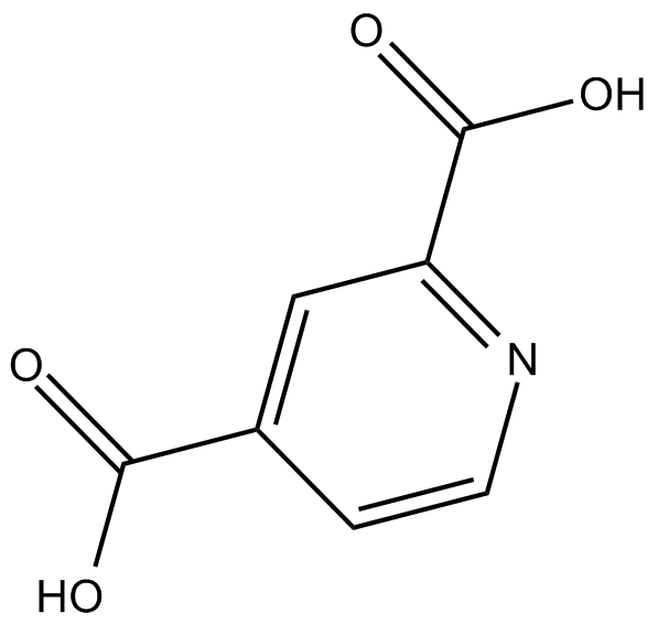 2,4-Pyridinedicarboxylic Acid