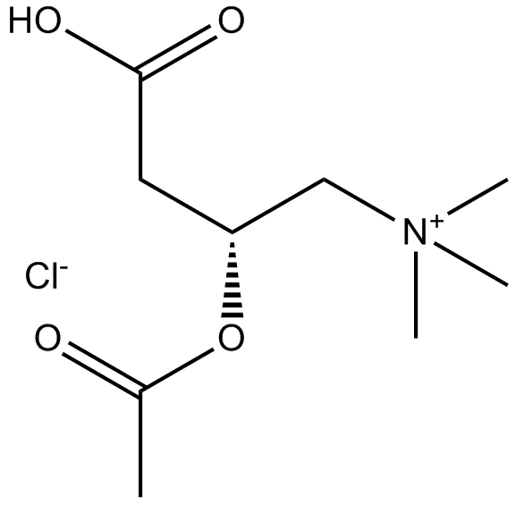(±)-Acetylcarnitine chloride
