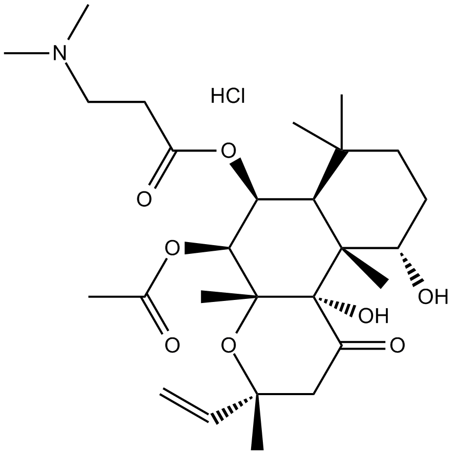 NKH 477