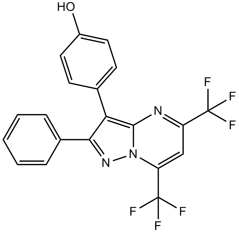 PHTPP