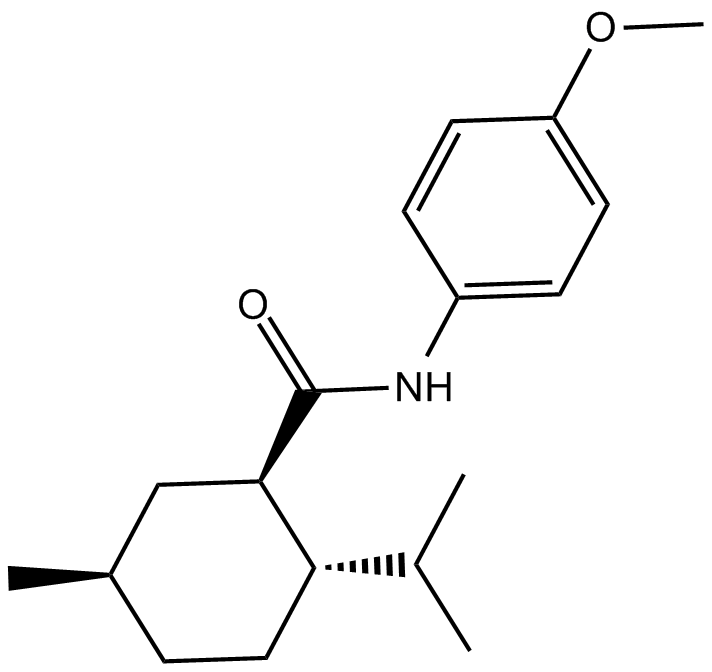 WS 12