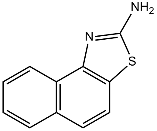 SKA 31