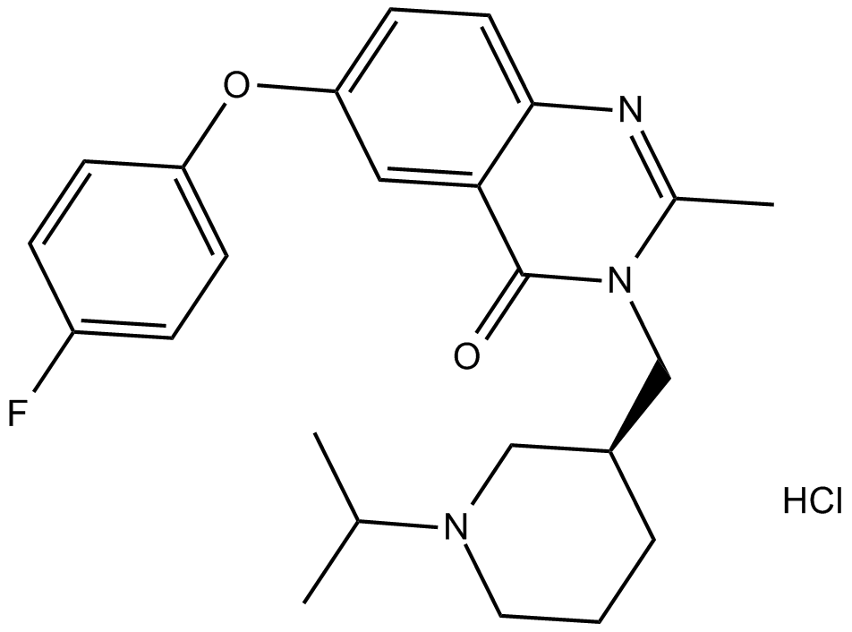 YIL 781