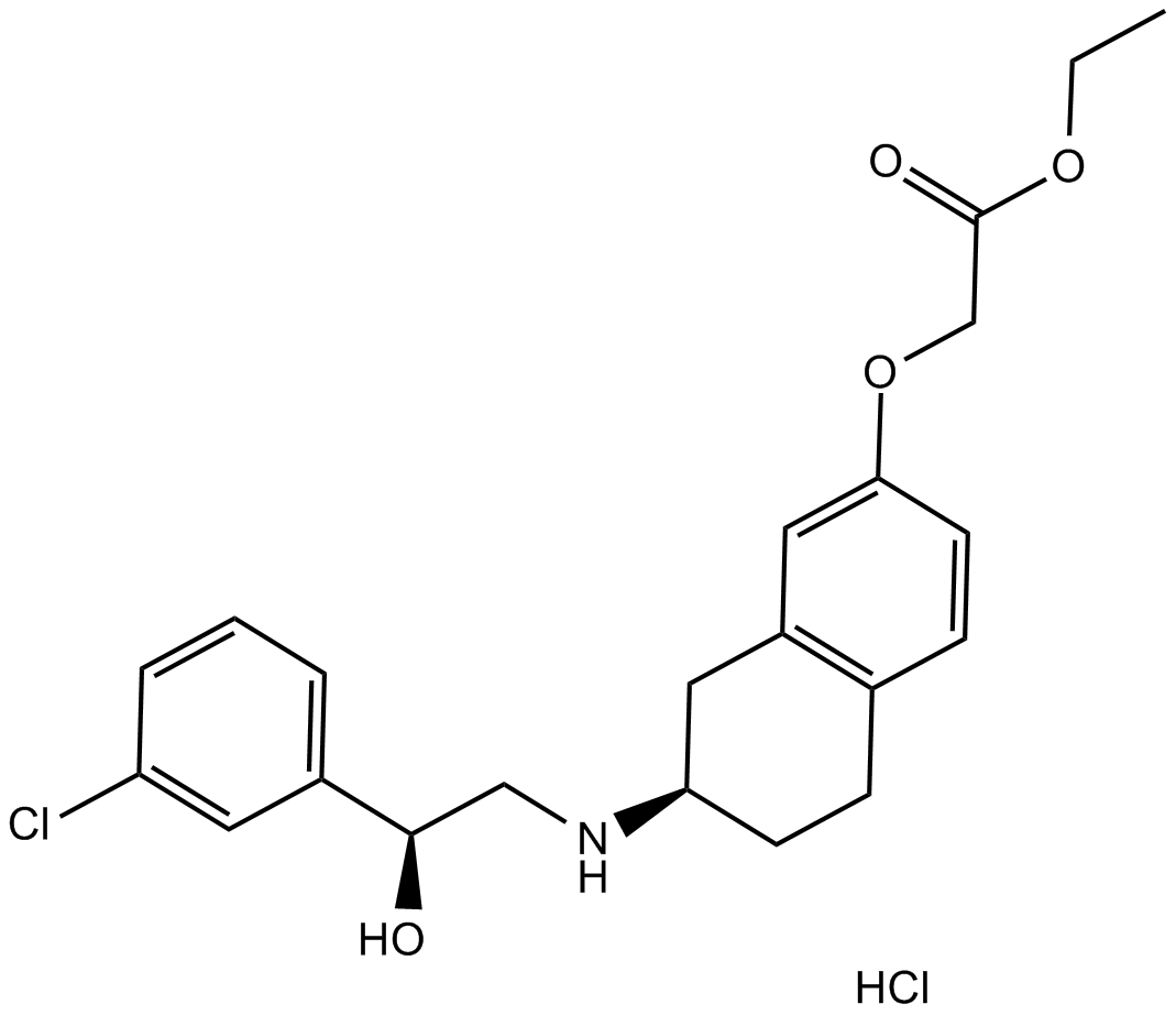 SR 58611A hydrochloride