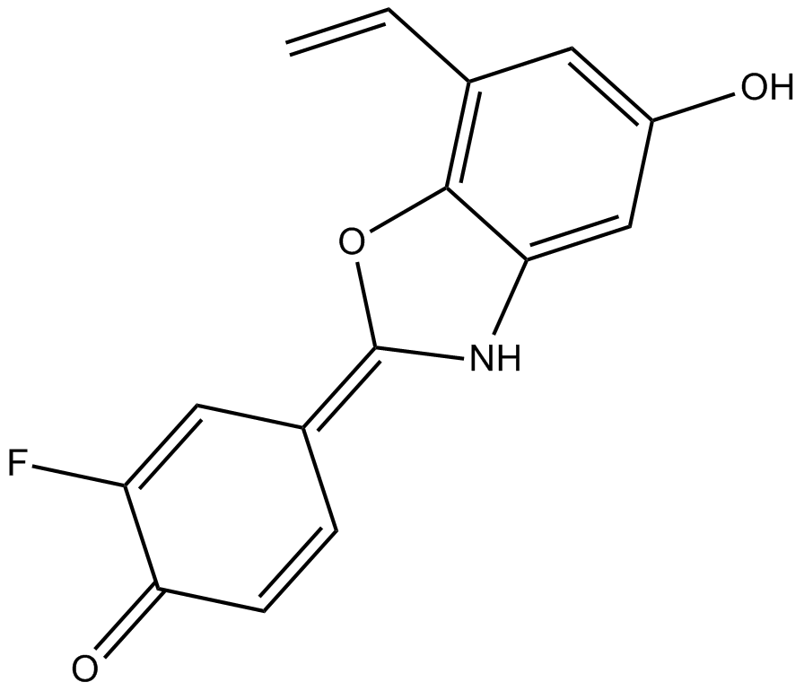 ERB 041