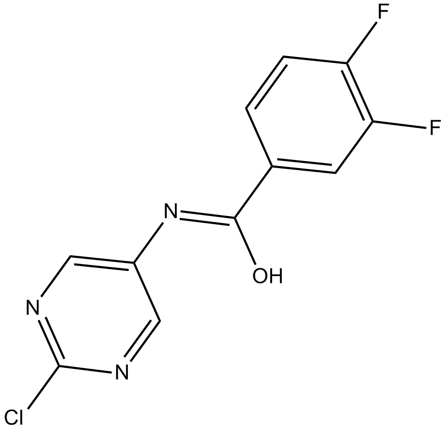 ICA 069673