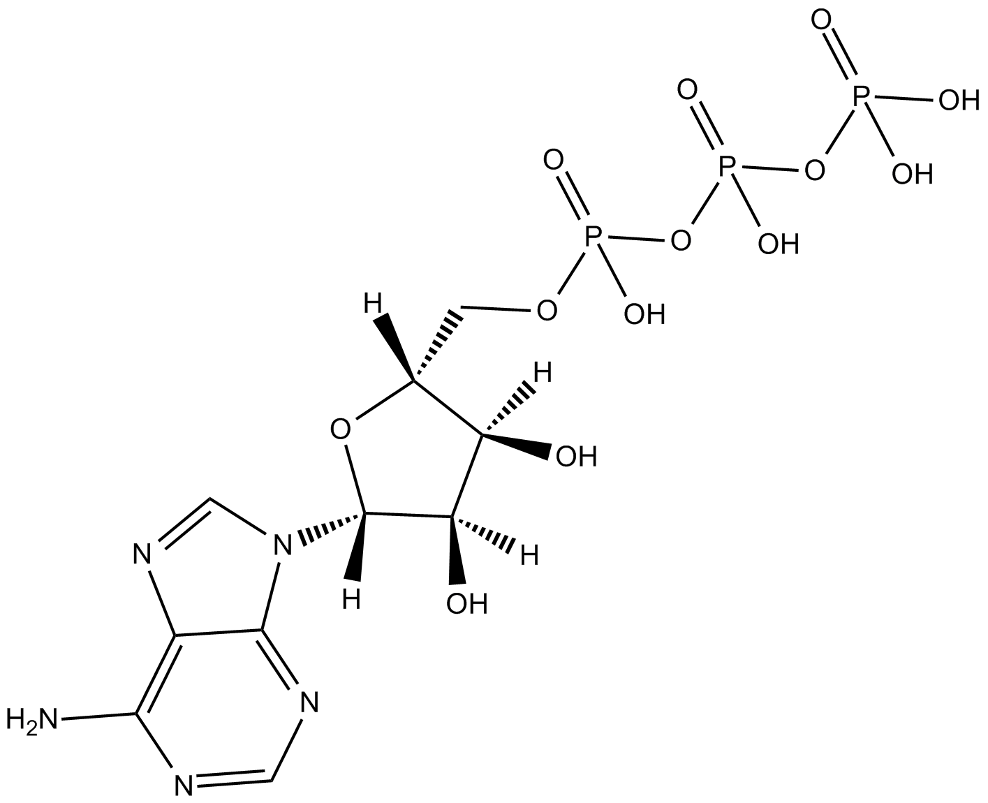 Adenosine 5-triphosphate