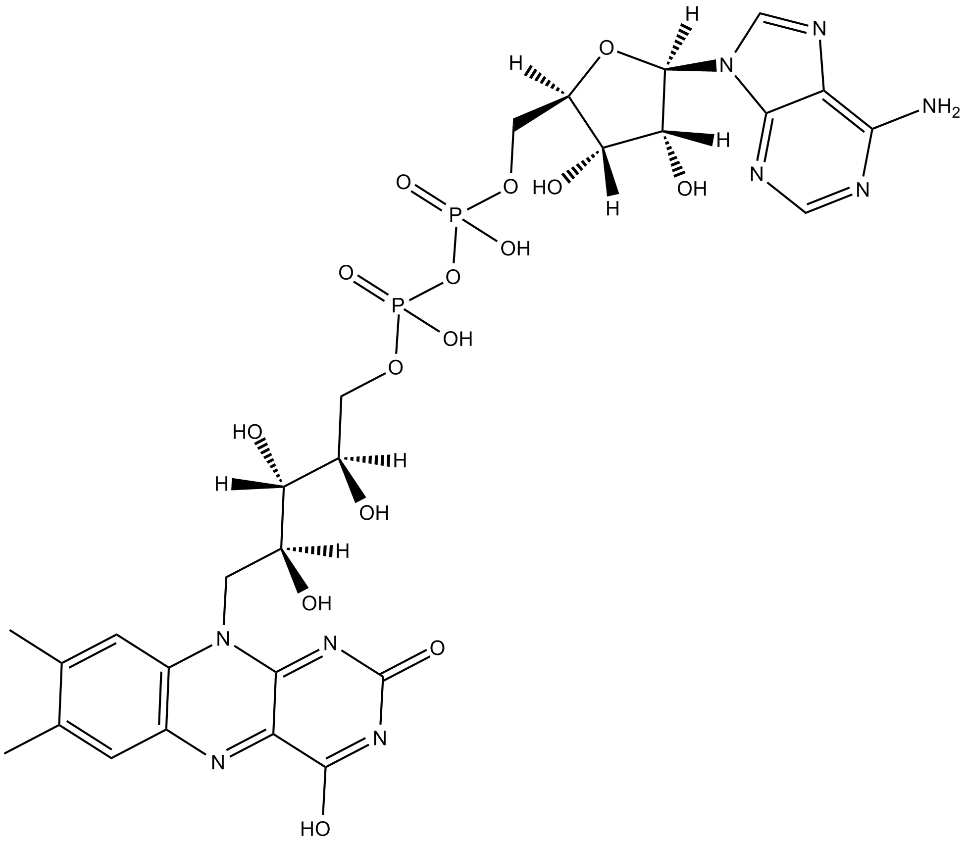 Flavin adenine dinucleotide