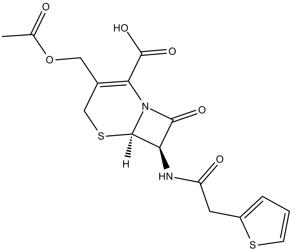 Cephalothin