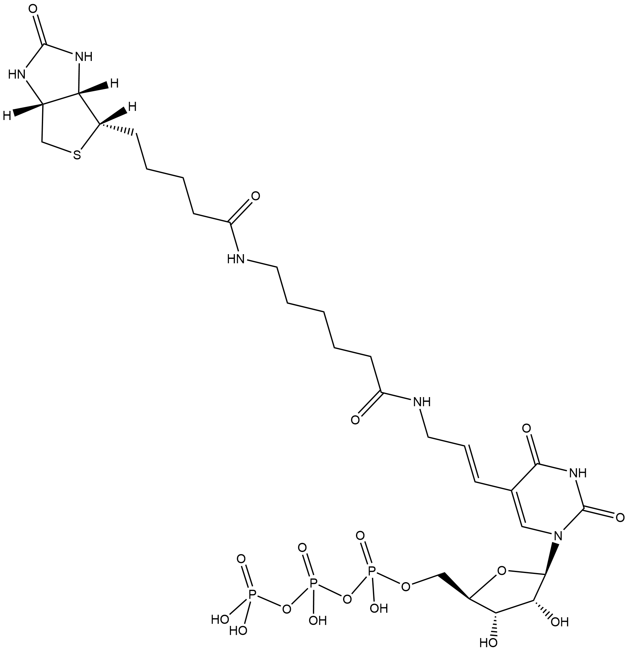 Biotin-11-UTP