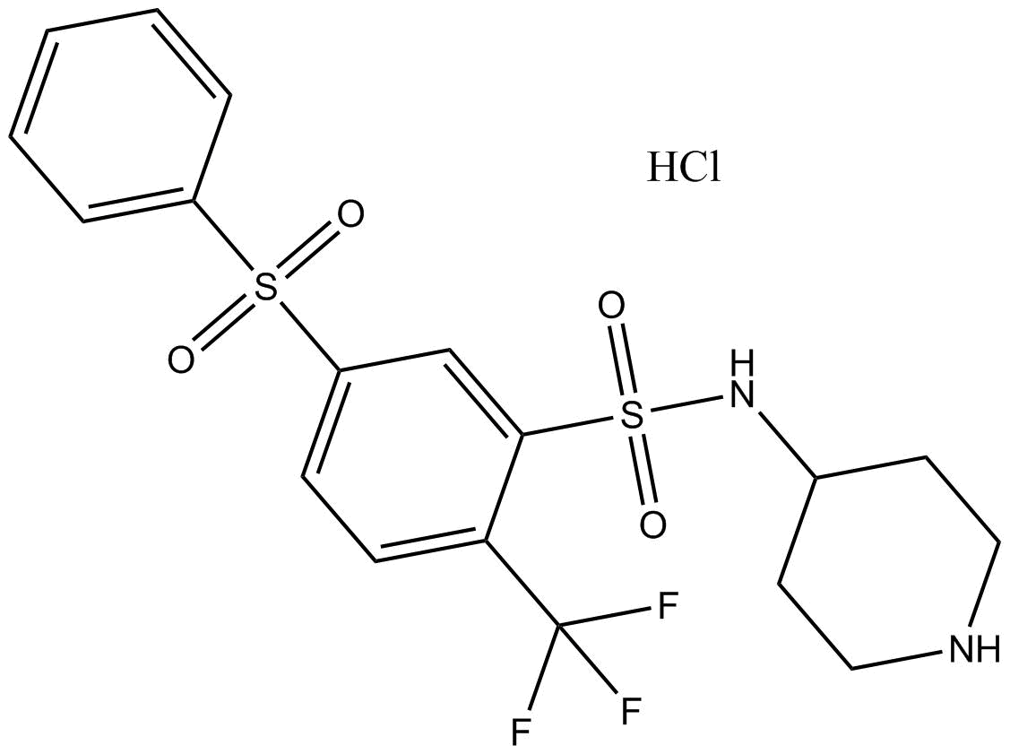 WAY 316606 HCl