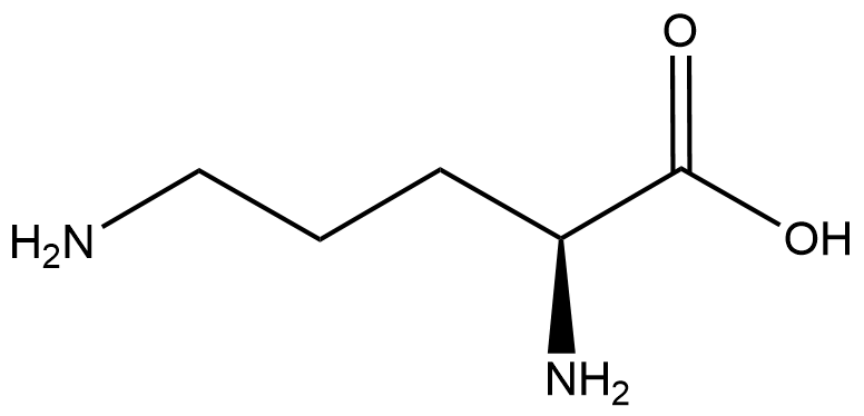 L-Ornithine