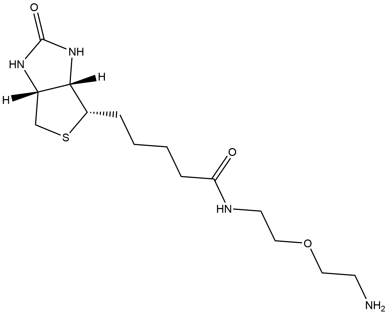 Biotin-PEG1-NH2