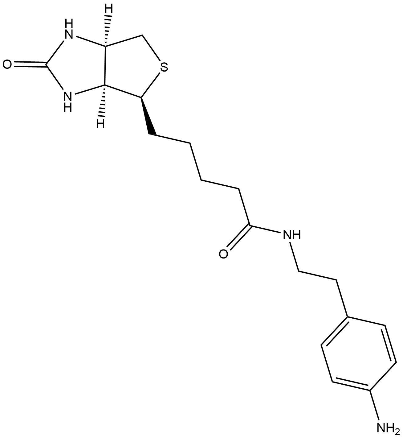 Biotin-aniline
