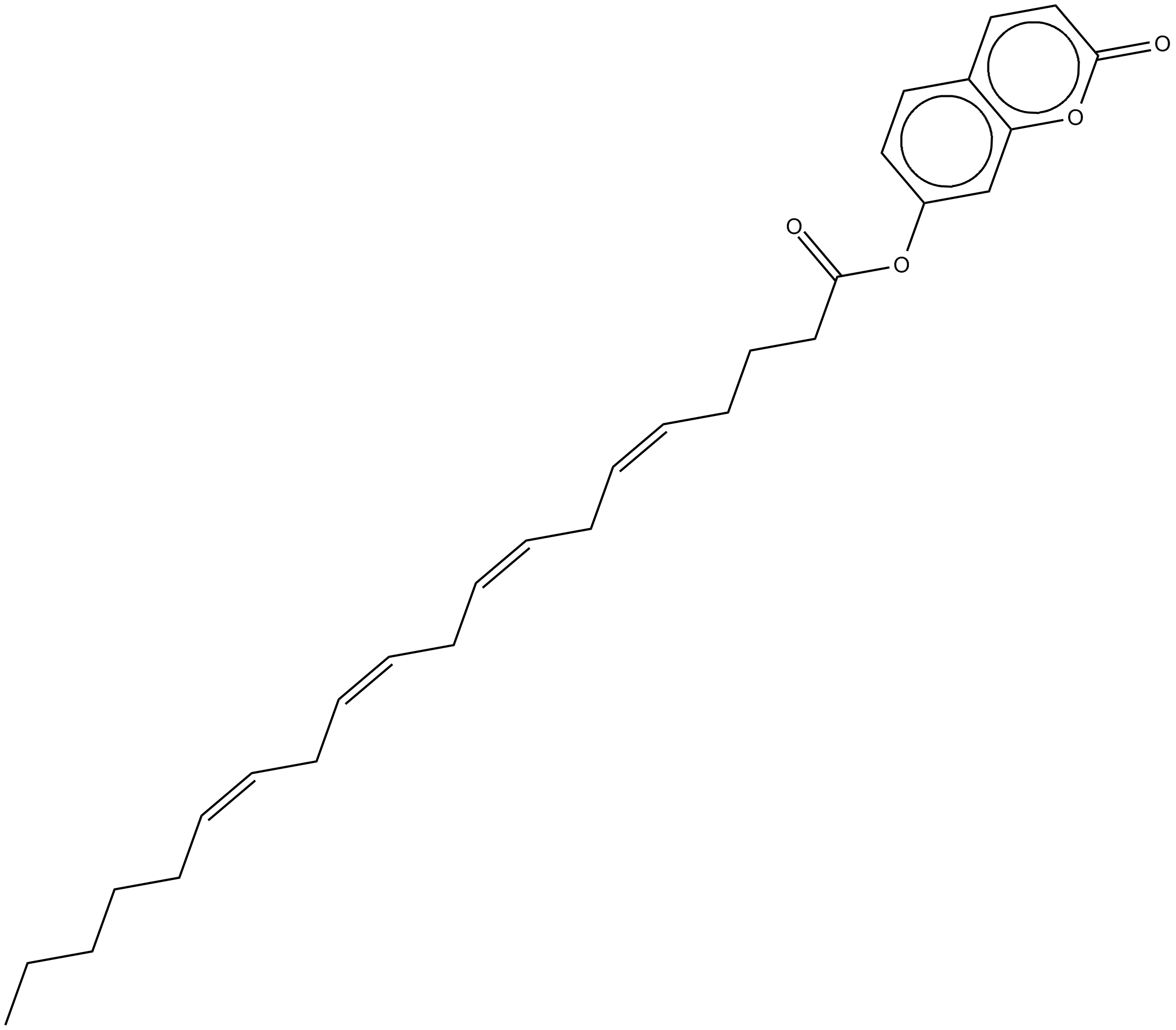 7-hydroxycoumarinyl Arachidonate