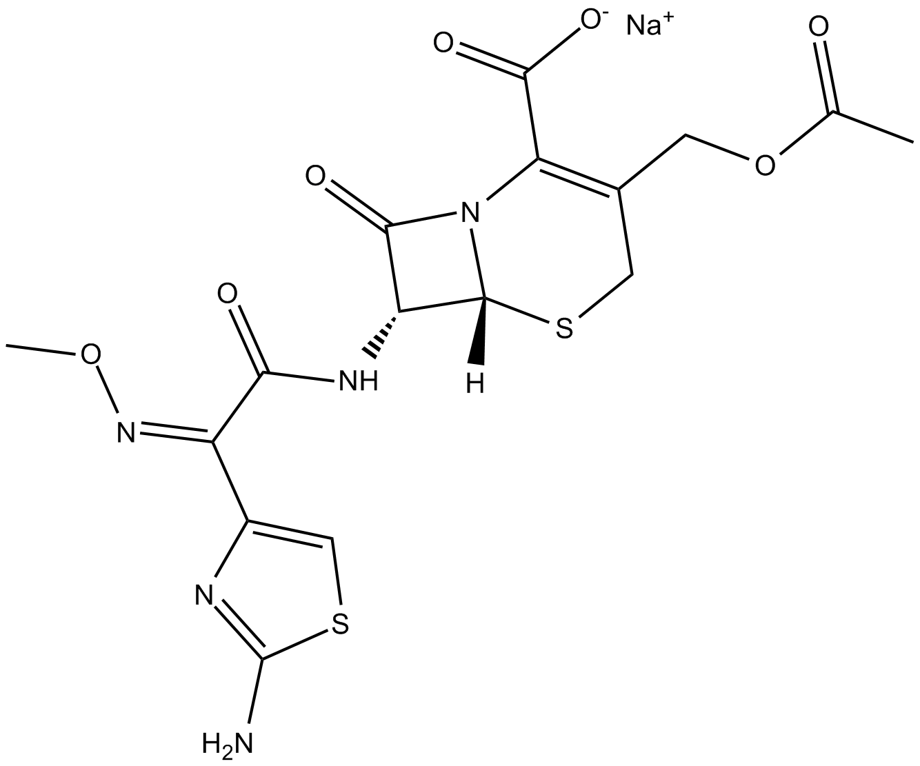 Cefotaxime (sodium salt)