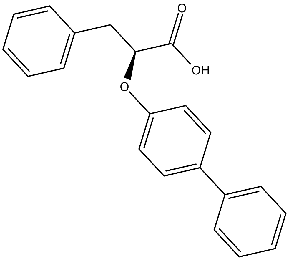 LT175