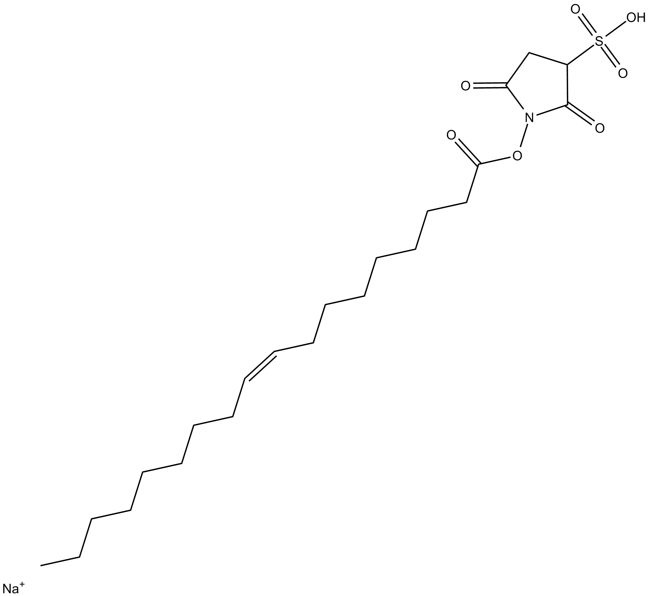 Sulfosuccinimidyl Oleate (sodium salt)
