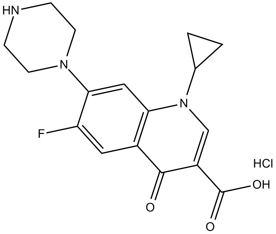 Ciprofloxacin (hydrochloride)