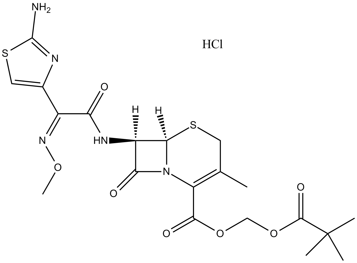 Cefetamet pivoxil hydrochloride