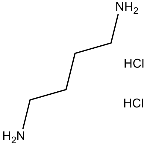 1,4-Diaminobutane dihydrochloride