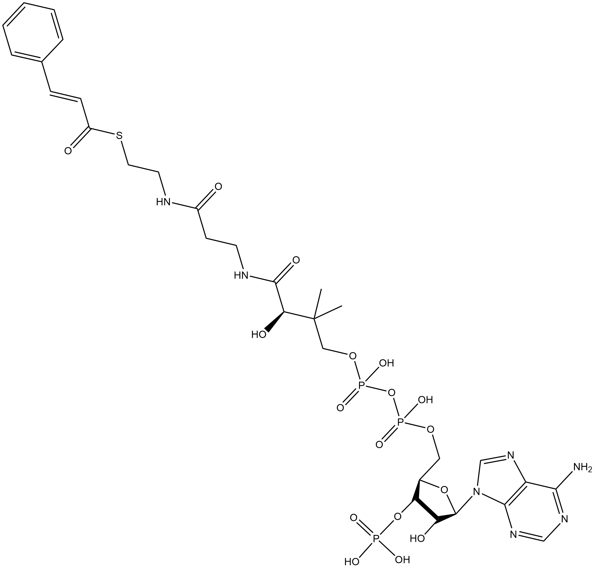 (E)-Cinnamoyl-coA