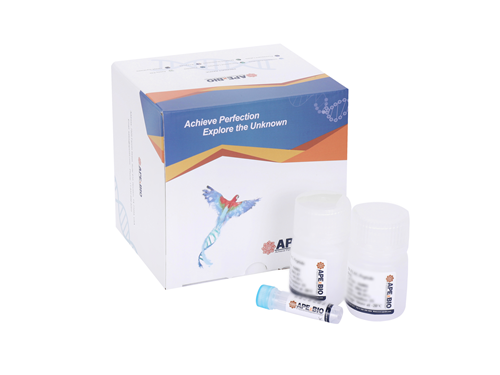 Fluorescein TSA Fluorescence System Kit