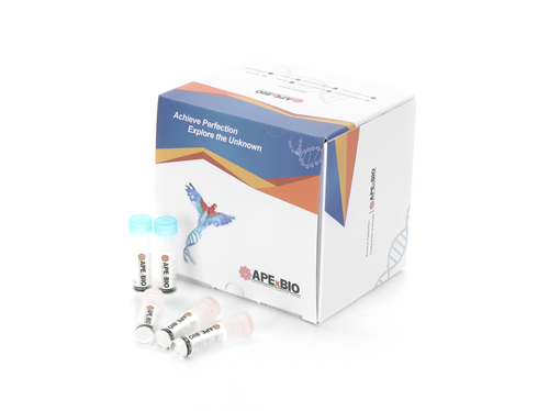 HyperScript™ First-Strand cDNA Synthesis SuperMix (with gDNA wiper)