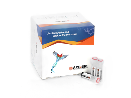 EdU Flow Cytometry Assay Kits (488)