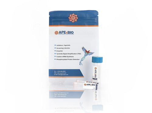 MagBeads PCR Purification Kit