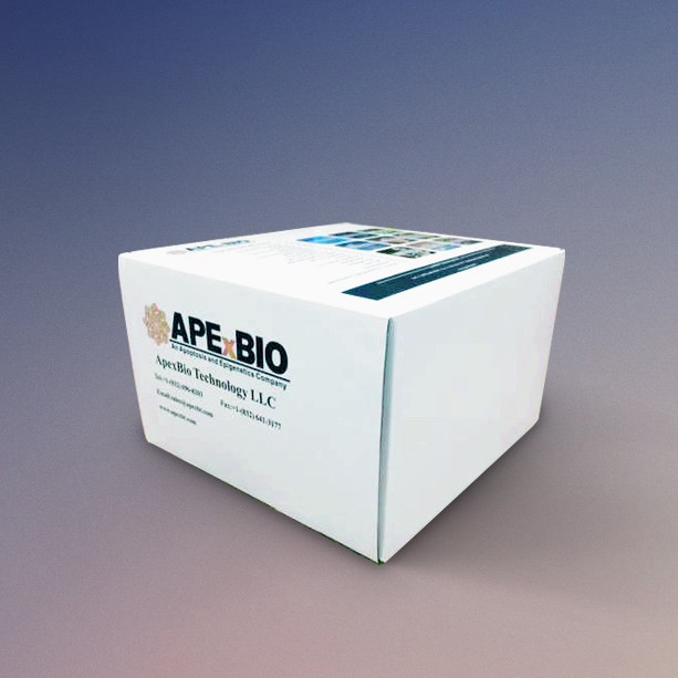 BCA Protein Quantitation Kit