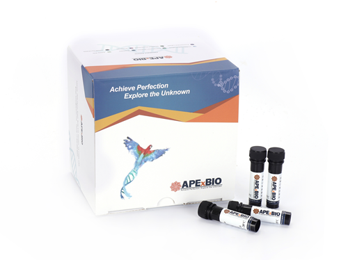 Annexin V-PE Reagent